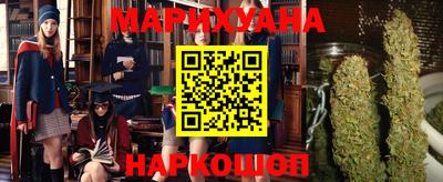 индика Брянск