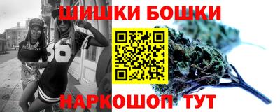 индика Брянск